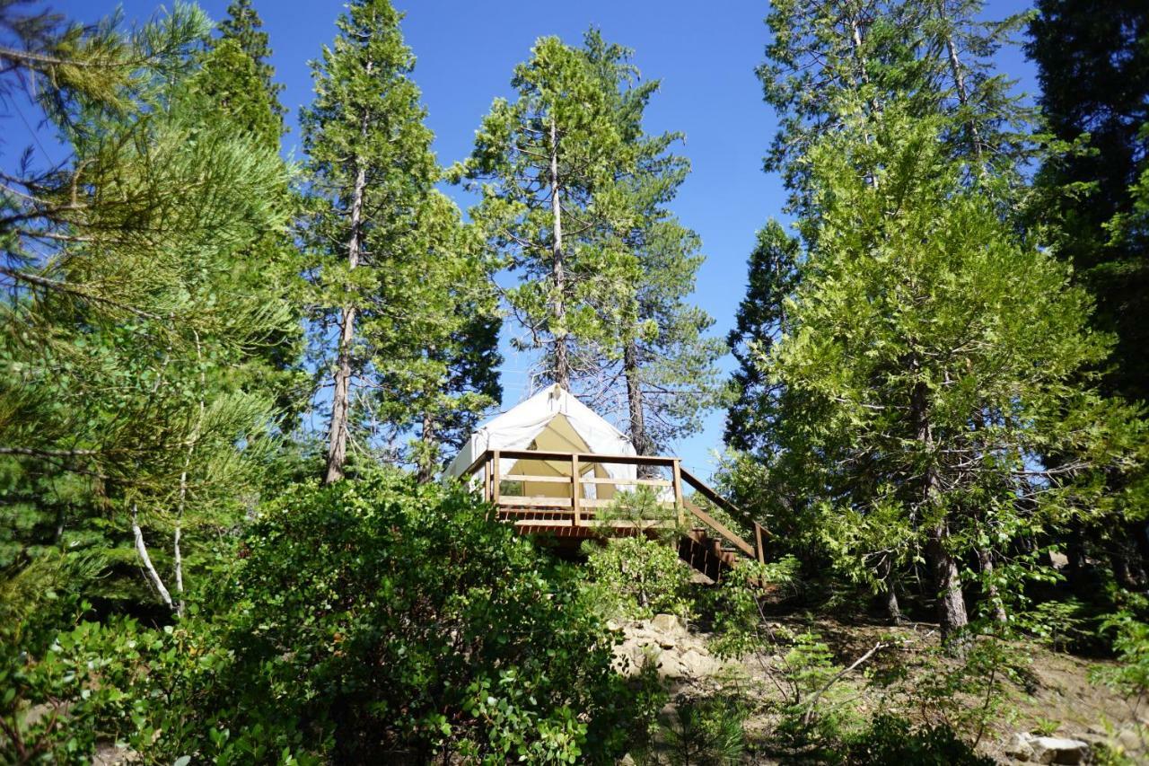 Shaver Lake Village Hotel מראה חיצוני תמונה